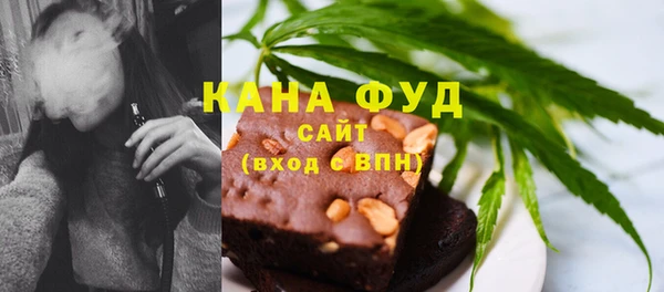 хмурый Аркадак