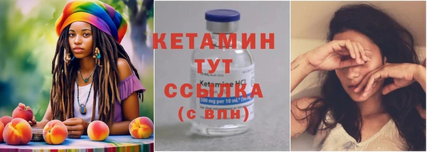 хмурый Аркадак