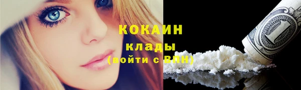 хмурый Аркадак