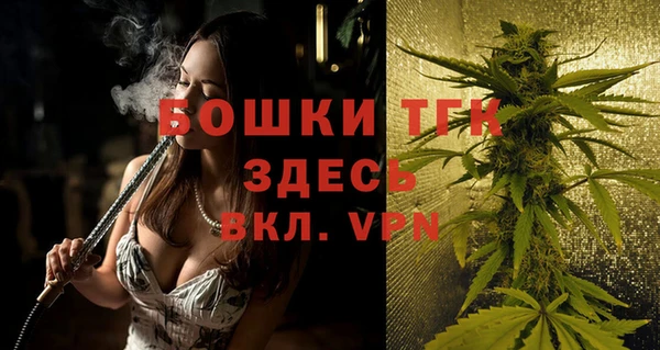 хмурый Аркадак