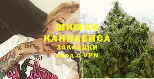 винт Арсеньев