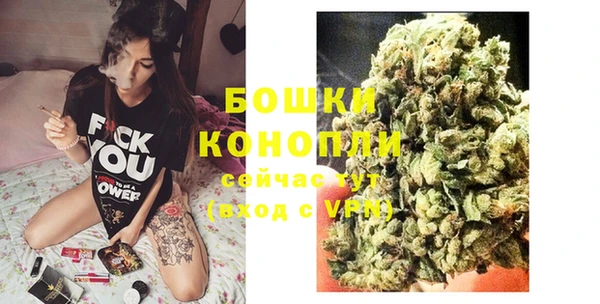 хмурый Аркадак
