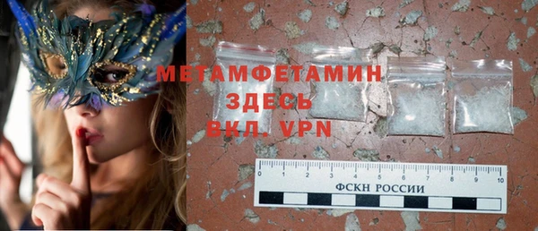 хмурый Аркадак
