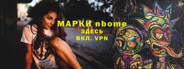 хмурый Аркадак