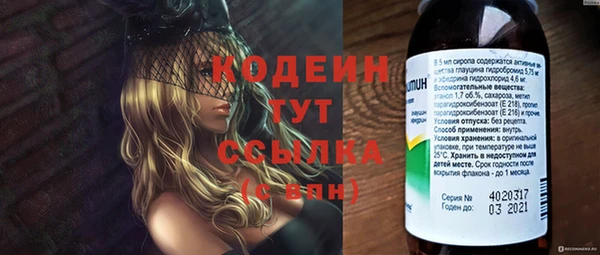 хмурый Аркадак