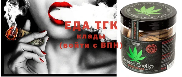 хмурый Аркадак