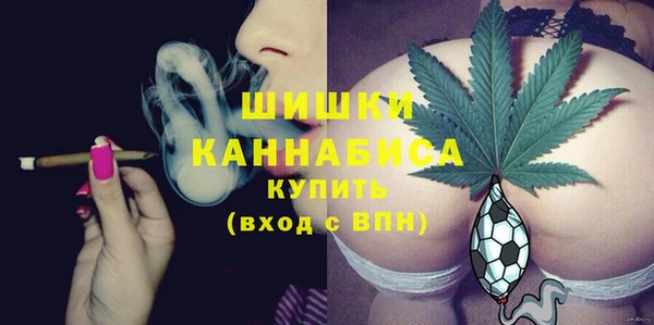винт Арсеньев