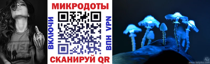 Псилоцибиновые грибы мицелий ссылка на мегу как зайти Фатеж